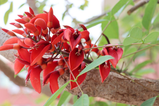 1774571687841219.png image.png