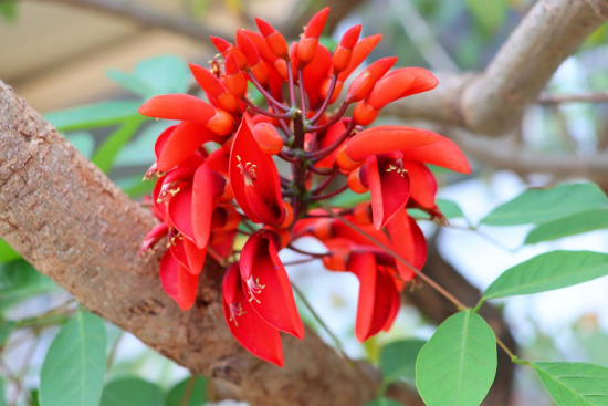 1774571699807900.png image.png