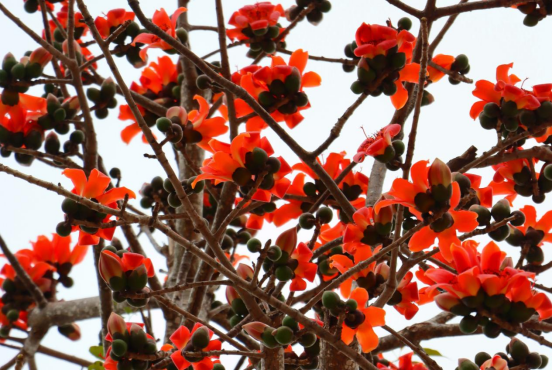 1774571708126309.png image.png