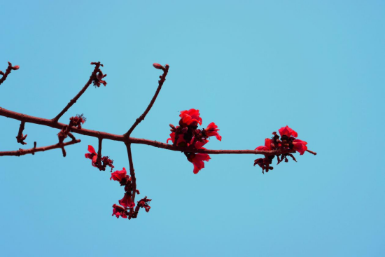 1774571728105898.png image.png