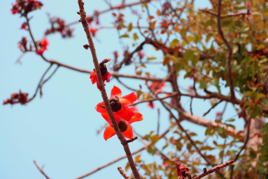 1774571737116262.png image.png