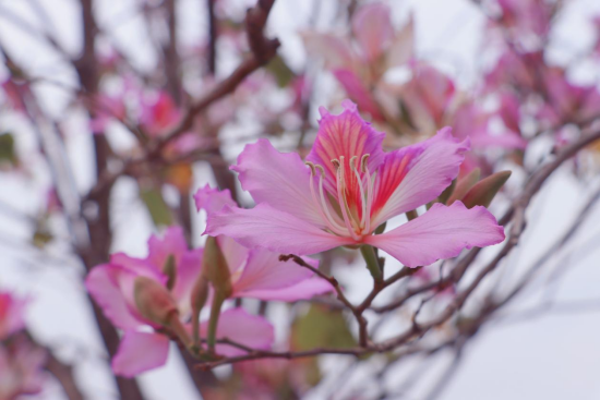 1774571810209016.png image.png