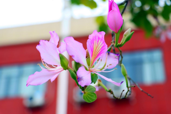 1774571822913296.png image.png