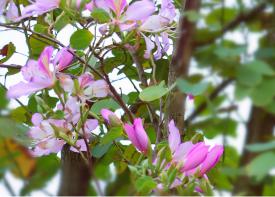 1774571833153650.png image.png