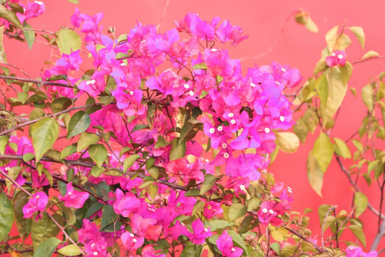 1775695589115528.png image.png