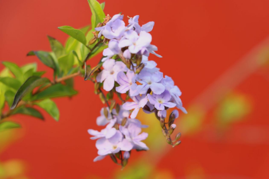 1775695655735929.png image.png