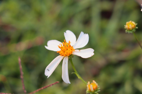 1775695684150495.png image.png